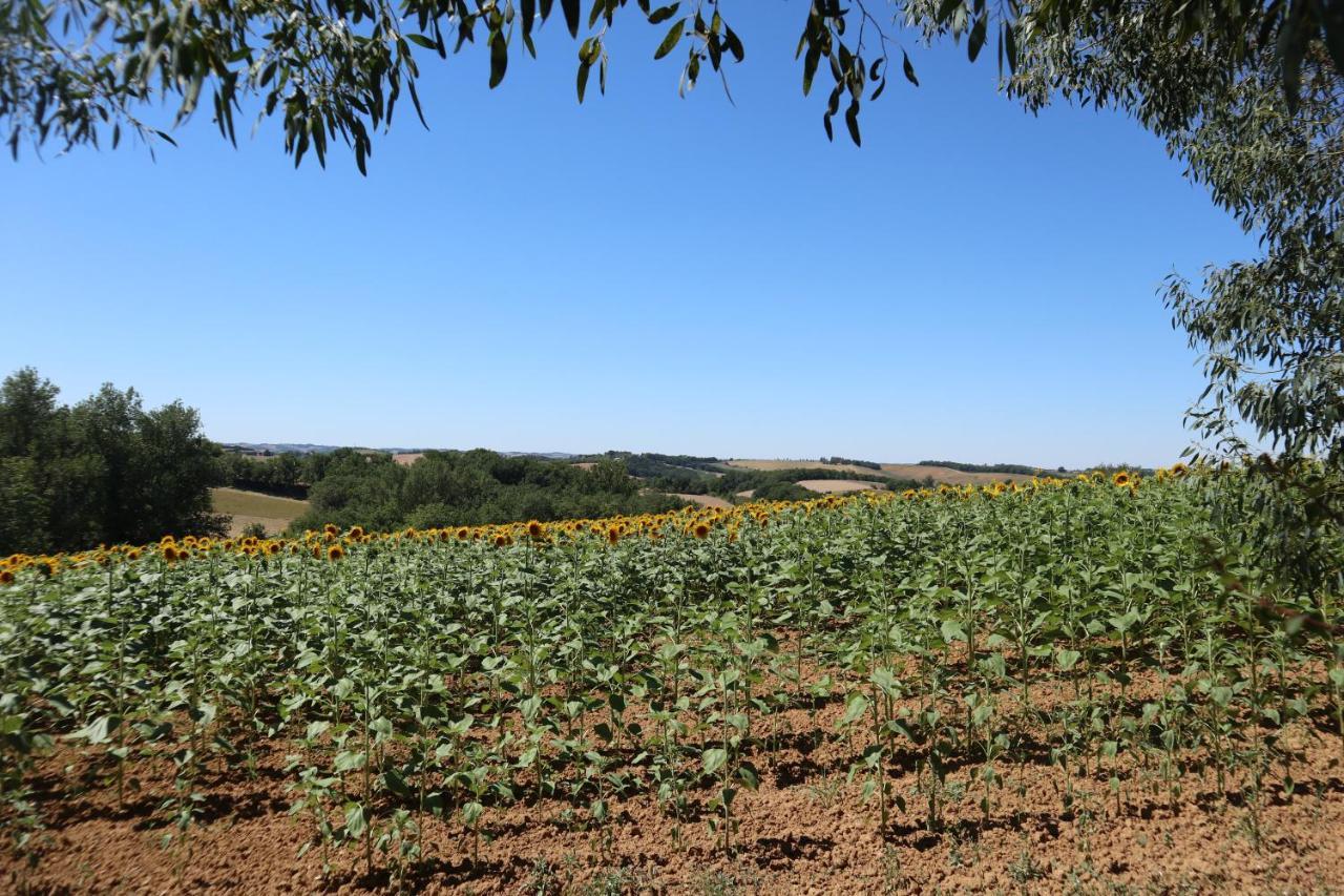 Le Clos Mirelie Gaujac  Exterior photo